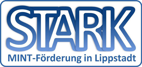 Logo Deutscher Fußballbund